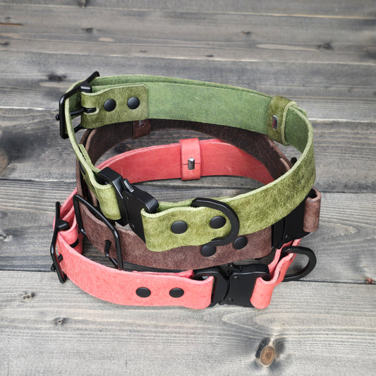 Leather 1" Dog Collar with Quick Connect