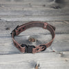 Leather 1" Dog Collar with Quick Connect