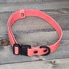 Leather 3/4" Dog Collar with Quick Connect