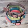 Leather 3/4" Buckled Dog Collar