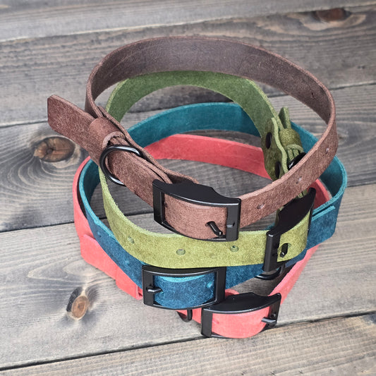 Leather 3/4" Buckled Dog Collar