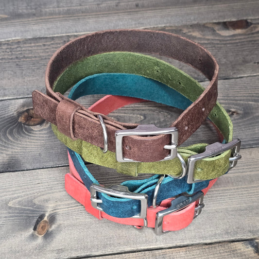 Leather 3/4" Buckled Dog Collar