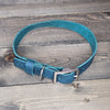 Leather 3/4" Buckled Dog Collar