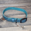 Leather 3/4" Buckled Dog Collar