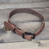 Leather 3/4" Buckled Dog Collar