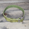 Leather 3/4" Buckled Dog Collar