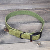 Leather 3/4" Buckled Dog Collar