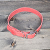 Leather 3/4" Buckled Dog Collar