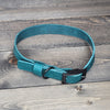 Leather 3/4" Buckled Dog Collar